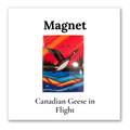 Canadian Geese in Flight Magnet