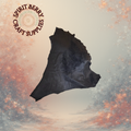 Black Deer Skin (10')