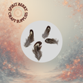 Pheasant Feathers (Sm.)