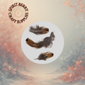 Gold Pheasant Feathers