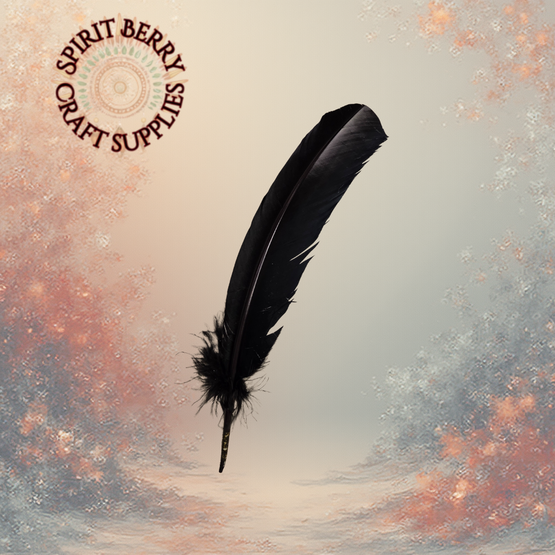 Black Turkey Wing Feathers