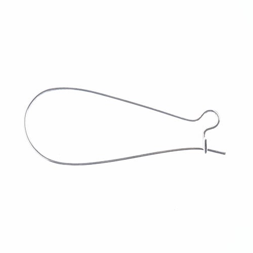 Large Kidney Earwire