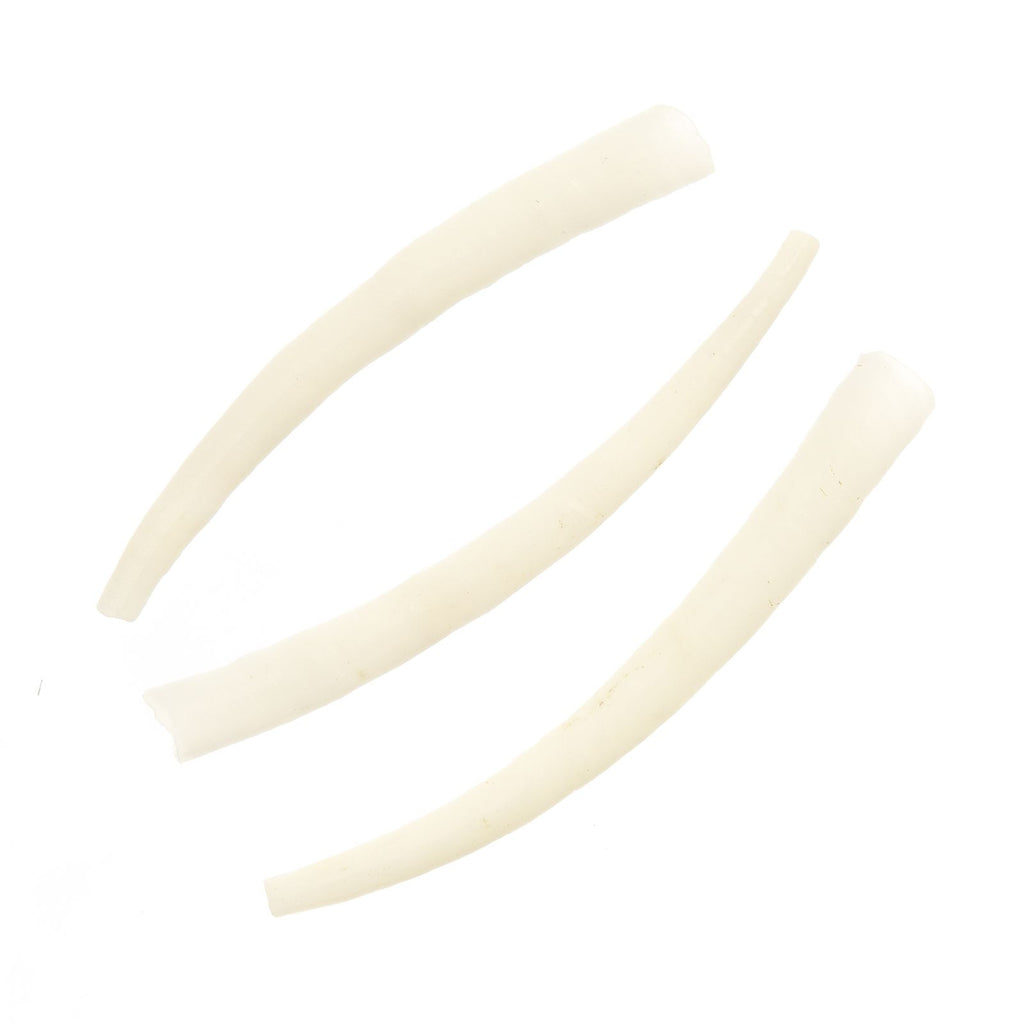 Dentalium (1 oz)