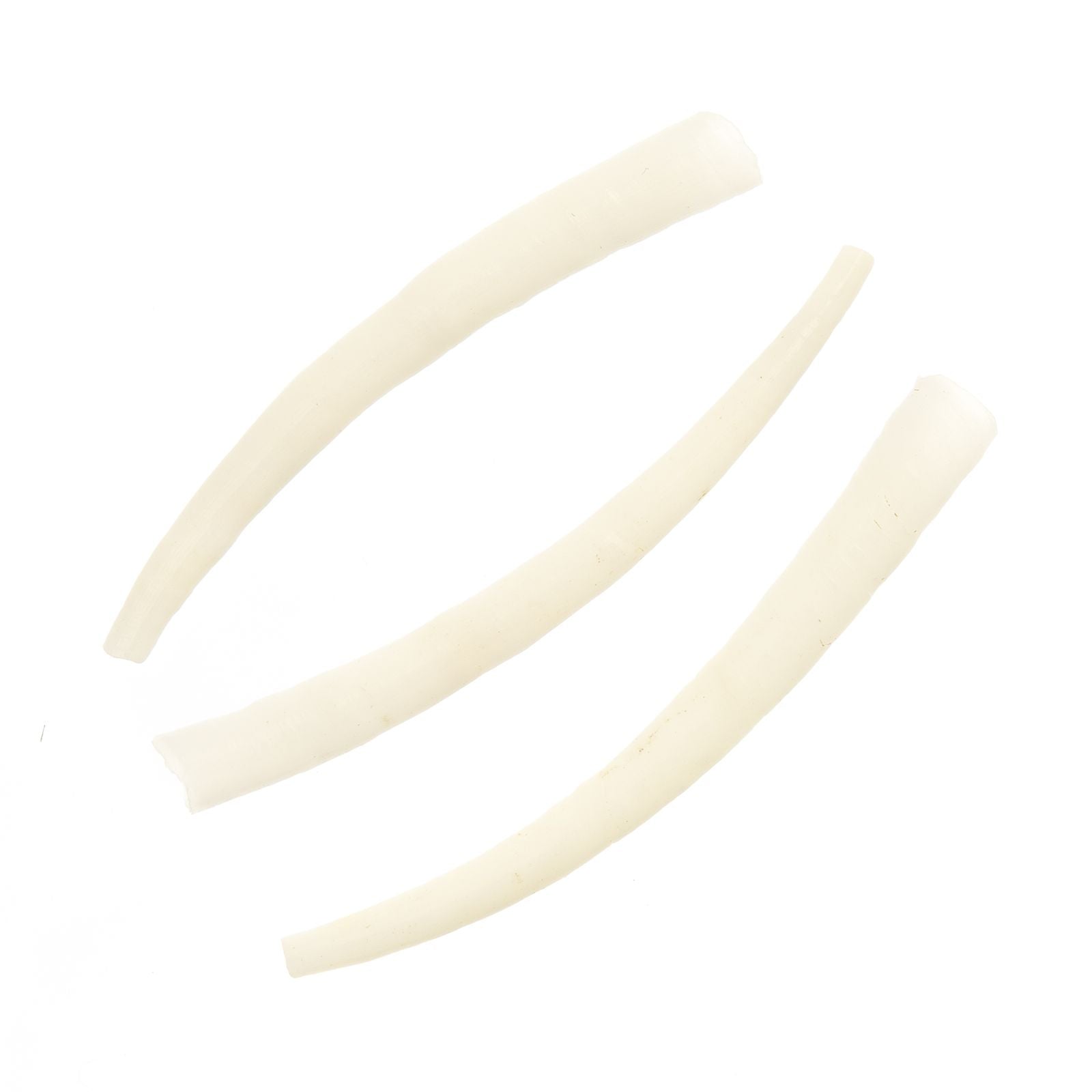 Dentalium (1 oz)
