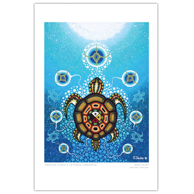 James Jacko Medicine Turtle Art Card