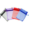 Organza Pouch