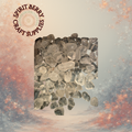 Clear Quartz Tumbled Stone