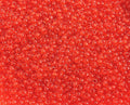 10/0 Transparent Orange