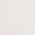10/0 Pearl White