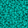 Seed Bead 11/0 - Turquoise Green Opaque