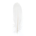 Goose Feathers 5 - 7"