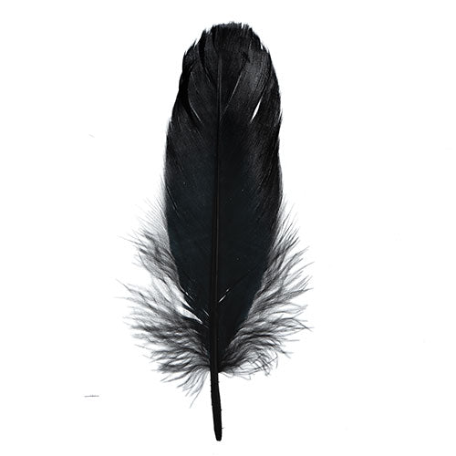Goose Feathers 5 - 7"