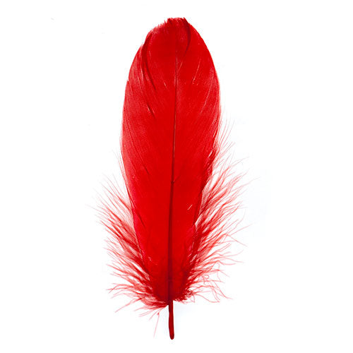 Goose Feathers 5 - 7"