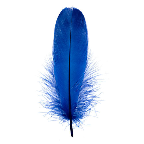 Goose Feathers 5 - 7"