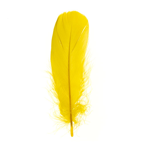 Goose Feathers 5 - 7"