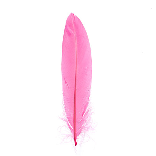 Goose Feathers 5 - 7"