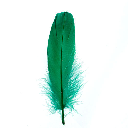 Goose Feathers 5 - 7"