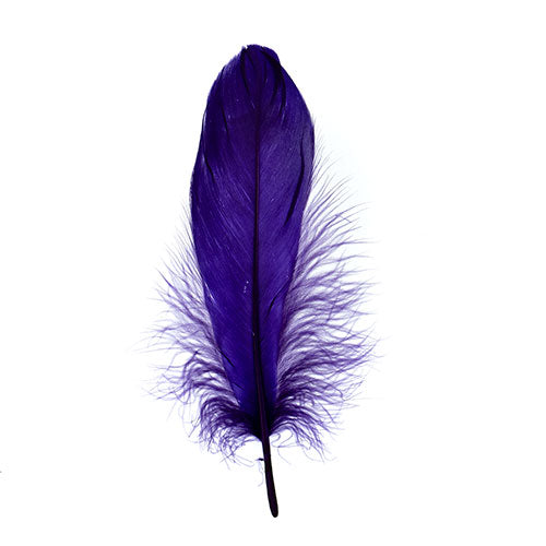 Goose Feathers 5 - 7"