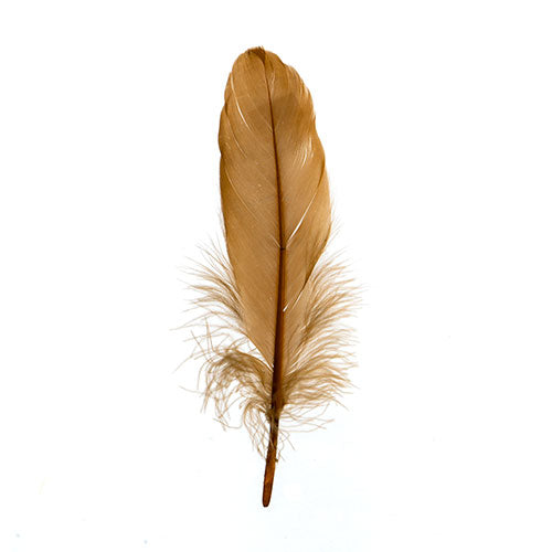 Goose Feathers 5 - 7"