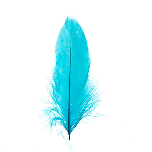 Goose Feathers 5 - 7"