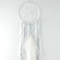 Season Change 6" Winter Dream Catcher